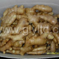 New Crop/Fat Root/for Global Market/Top Quality/Fresh Ginger